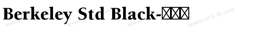 Berkeley Std Black字体转换
